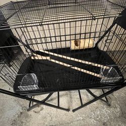 Bird Cage