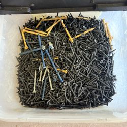 Assorted Screws in Container