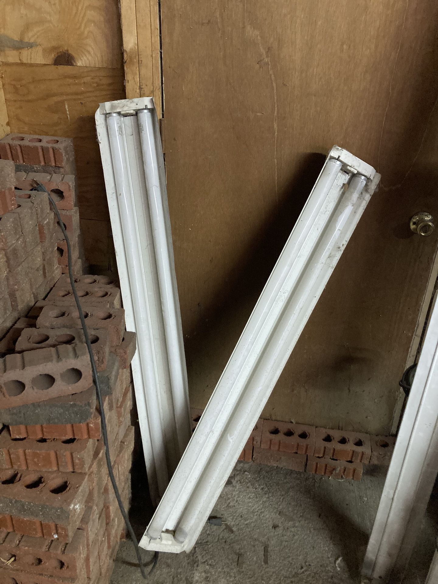Shop Lights 49 Inches