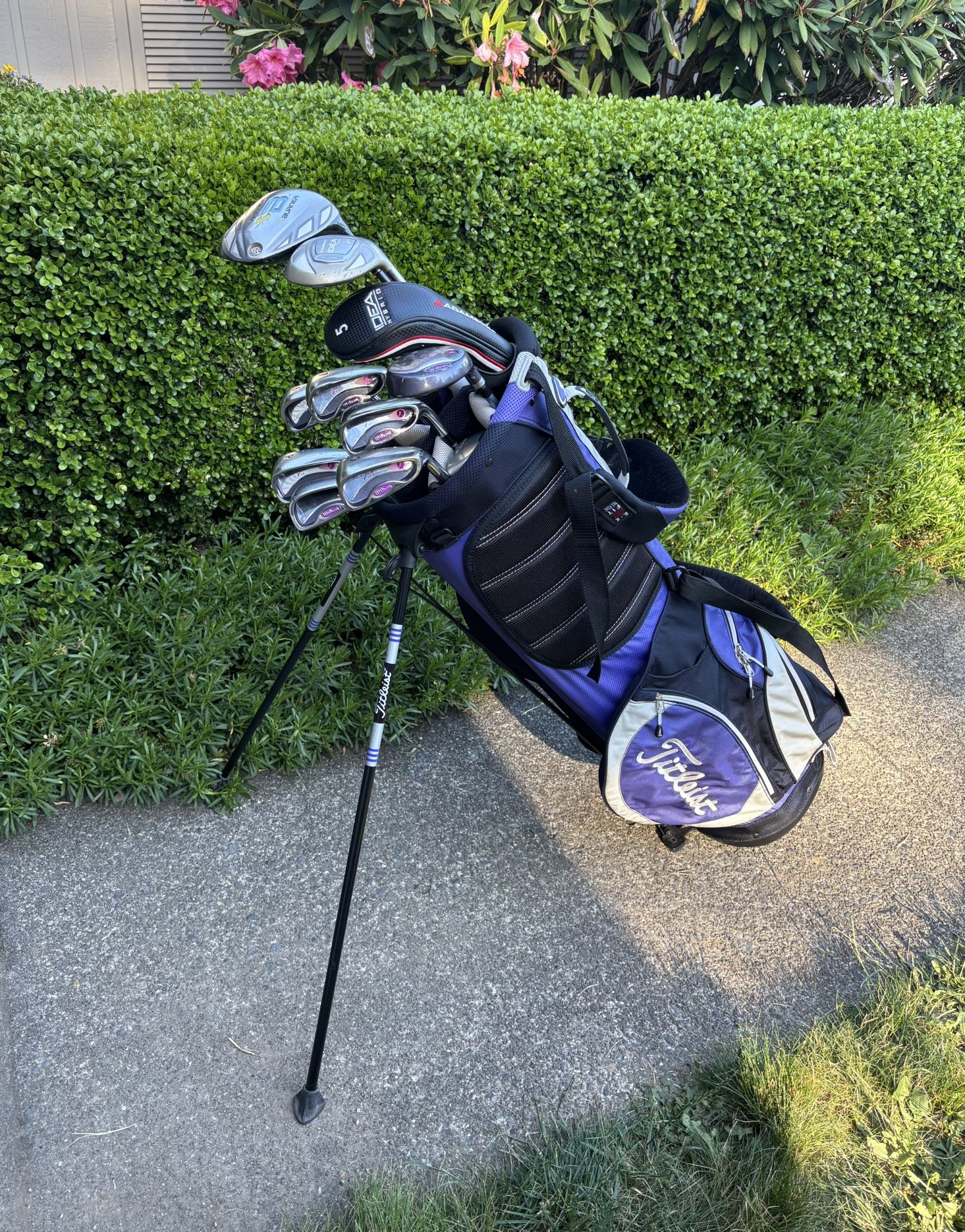 Ladies Golf Clubs Set
