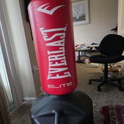 Standing Punching Bag