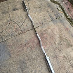 Weight Olympic Curl Bar 
