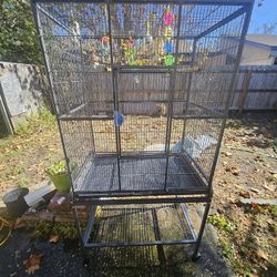 Large Bird Cage With Toys