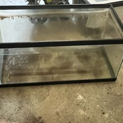 Large tank