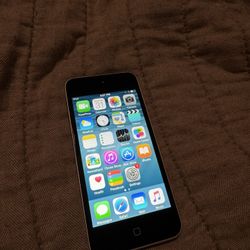 iPod Touch 5th Generation (no Rear Camera)