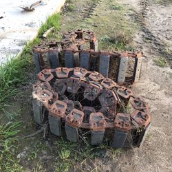 Bobcat Tracks Make Offer 