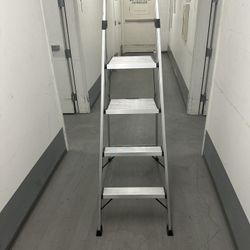 Gorilla ladder