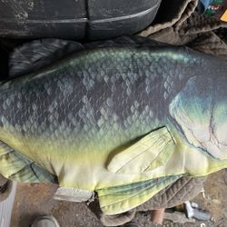 A Large Mouth Bass  Fish Pillow