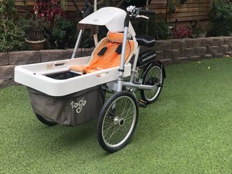 TAGA trike Electric maiden, Netherlands
