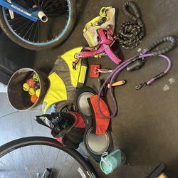 Dog Supplies 