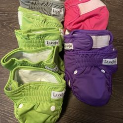 Female Dog Wraps
