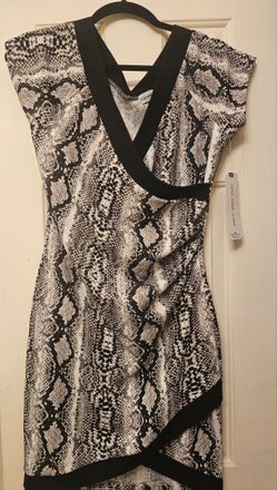 Snake Print Dress