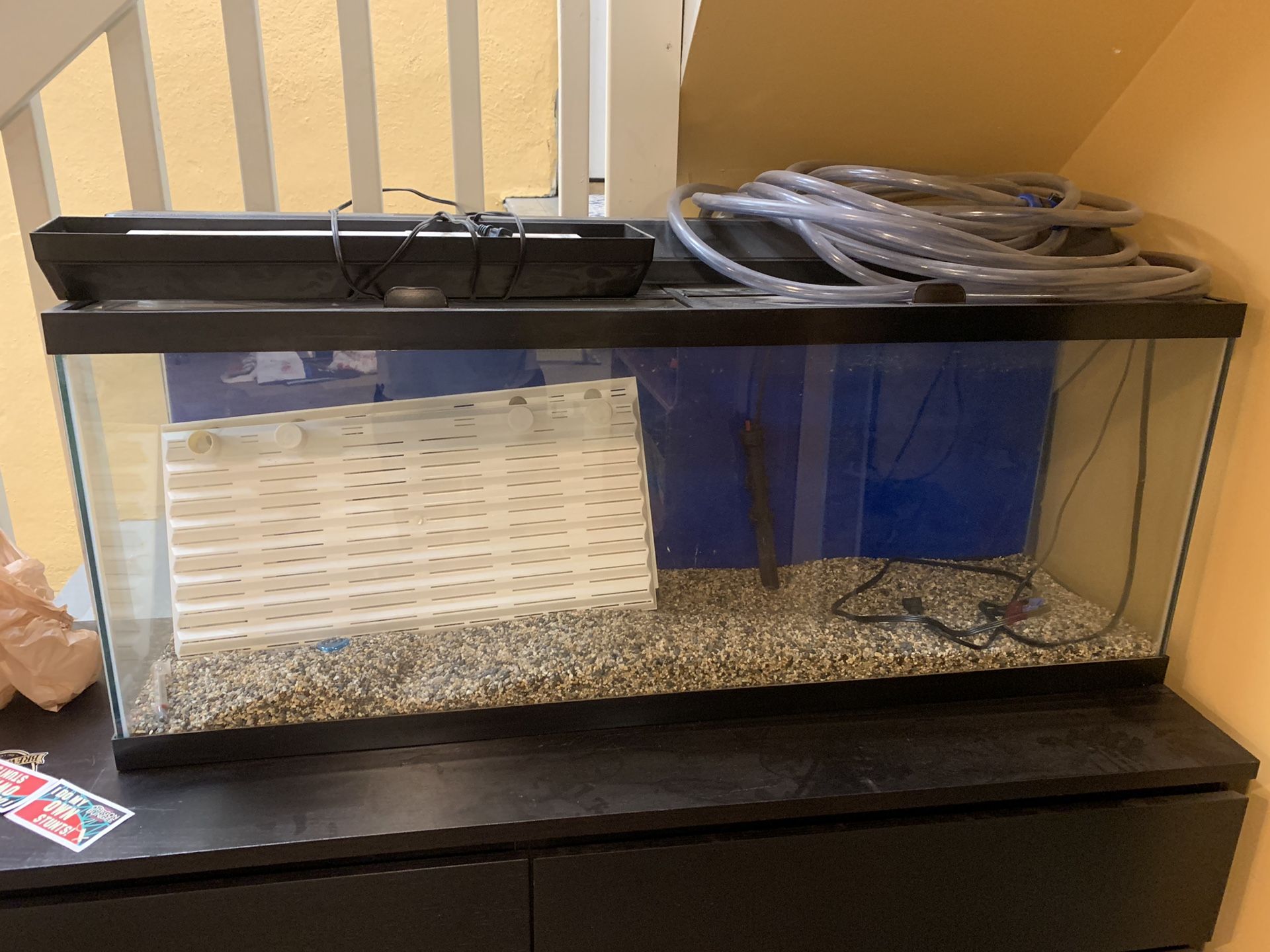 Aquarium 50 gallon fish tank