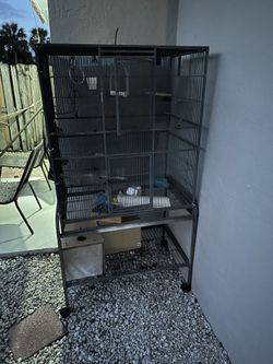 Bird Cage