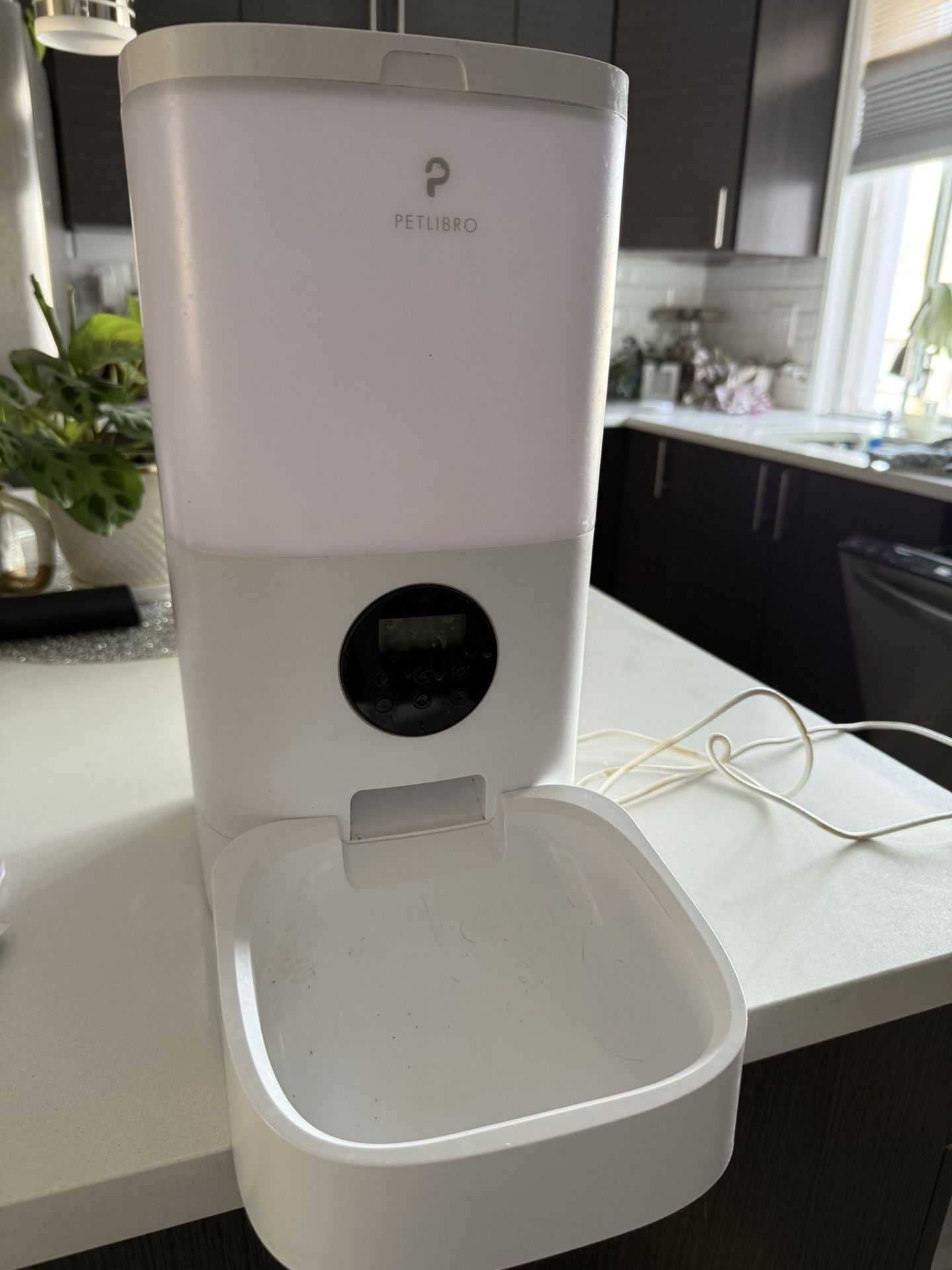 Petlibro Automatic Feeder