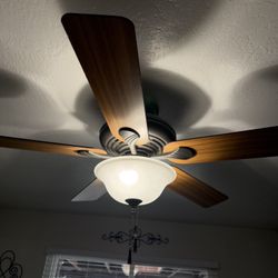 Fan Hunter 54 Inch