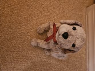 Beanie Babies Collection  Collectable Beanie Babies  Tricks Ty Beanie Babies 