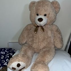 Teddy Bear 