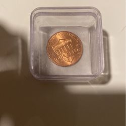 2019 Shiny Penny