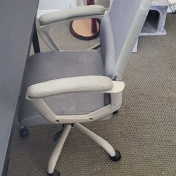 Ergonomic Webbed Office Chair
