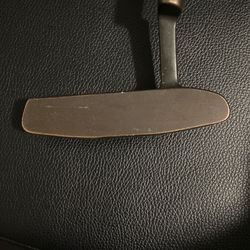 Ping Pal Putter