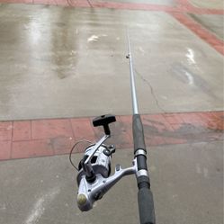 12’ Daiwa Emblem Eyeless Surf Rod