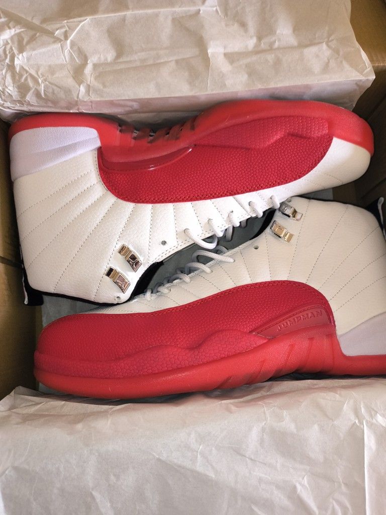 Air Jordan Retro 12