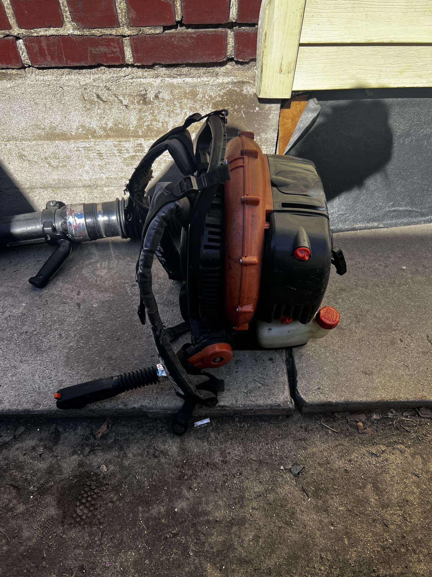 Echo Leaf Blower