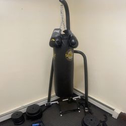Everlast Heavy Bag With Stand And  Gloves