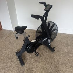 Rogue v2 Echo Assault Bike