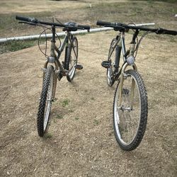 Forest Ranger American Built - Trail Special Edition Bicycle 