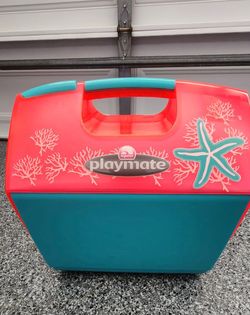 Ice chest