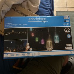 Multi Color Light Bulbs 