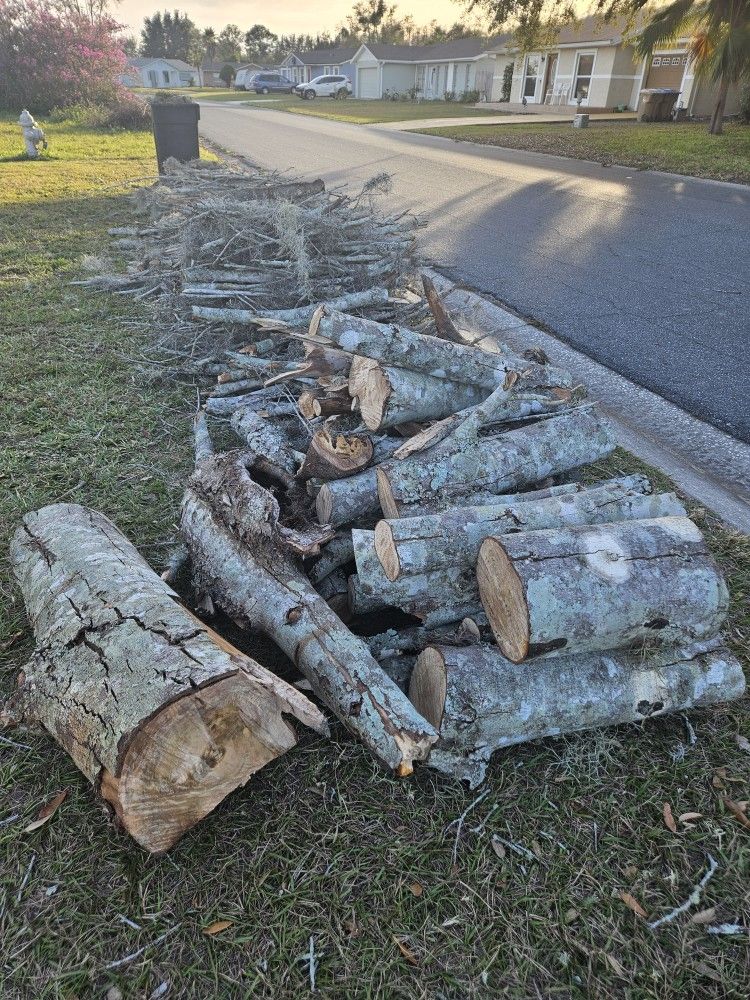 Free Firewood