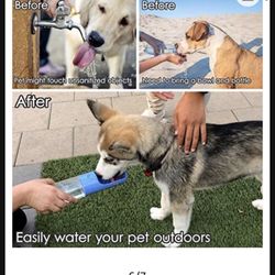 Pet Outdoor Water Bottle