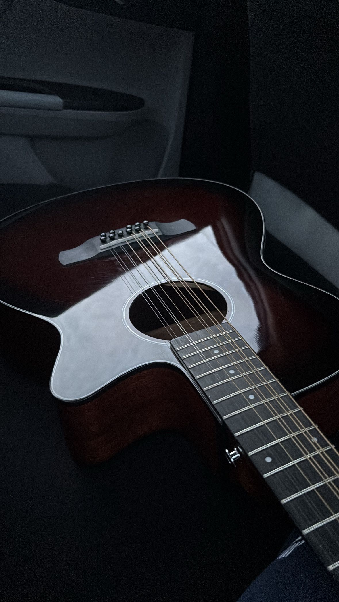 12-string Ibanez model-AEG5012 acoustic and electric 