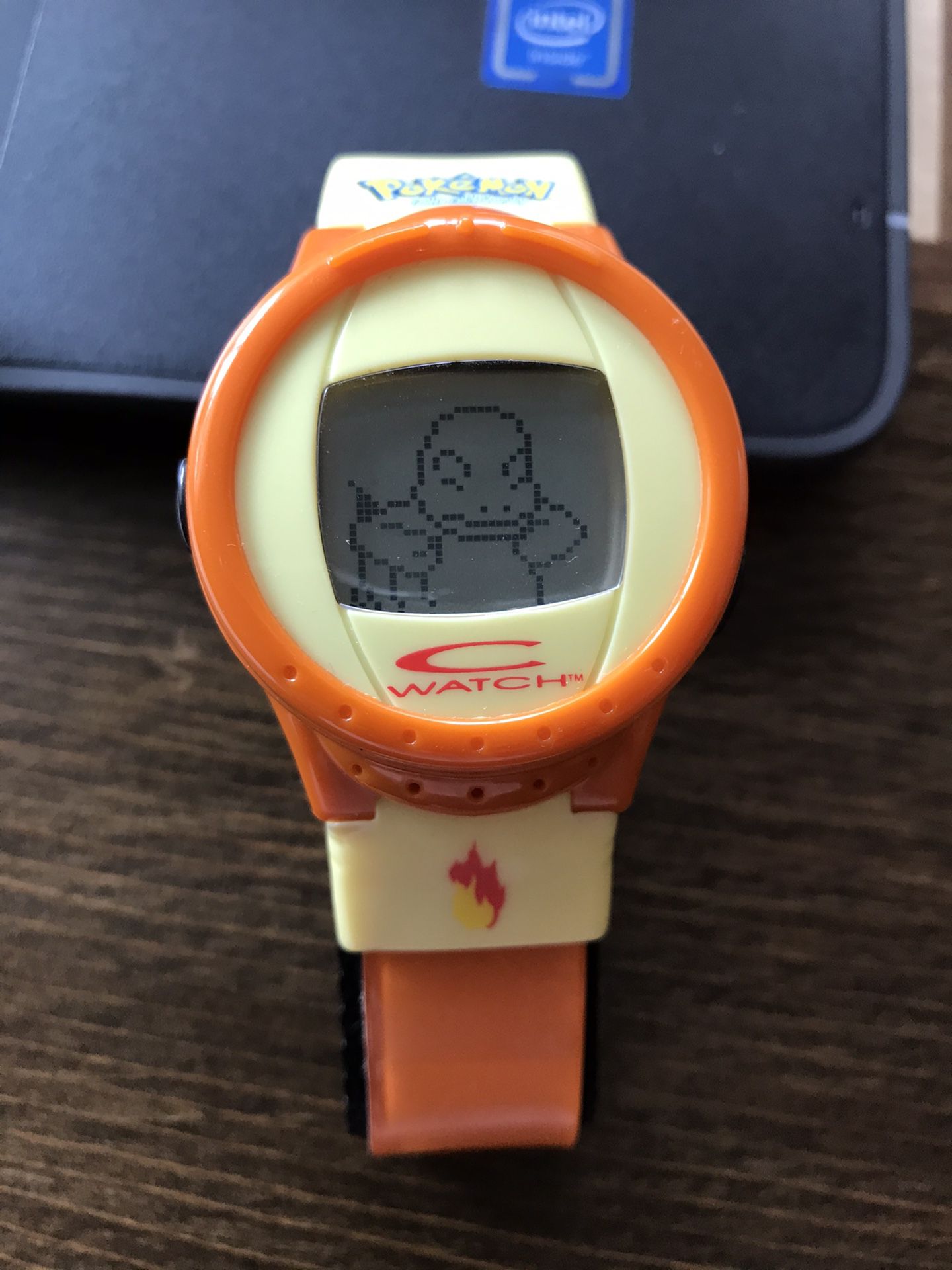 Pokémon watch