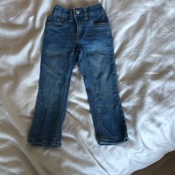 Kids 3T Levi 