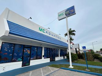 Fish And Aquarium Sale!