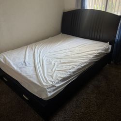 Free Bed