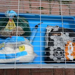 Cage 