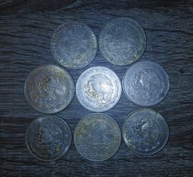 Foreign coins (22)
