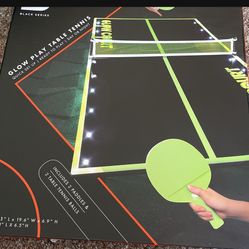 Ping Pong Table