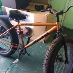Fat Tire Bike