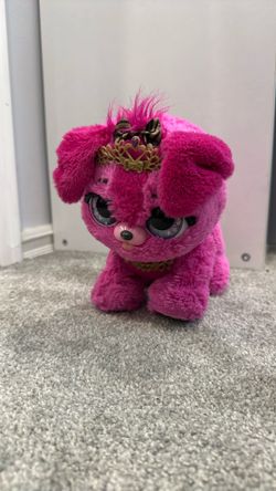 Present pet cici