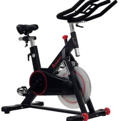 Sunny Health & Fitness Magnetic Exercise Bike, 44LB Flywheel & 300LB