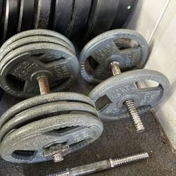 8 (10 Lb ) Plates 