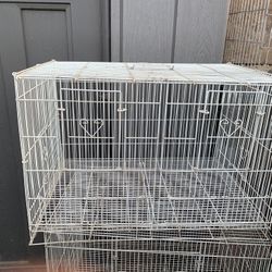 Bird Cages 
