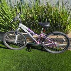 Schwinn bike, 18 speed