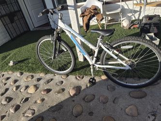 Bicycles for adults